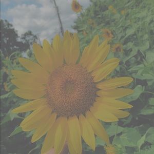 Meet your Posher, Breanna